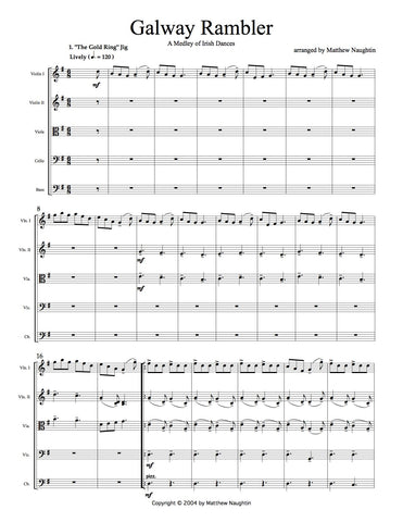 Galway Rambler Medley (Eight Traditional Irish Dance Tunes)