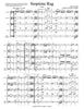 "Stoptime" Rag (Scott Joplin)