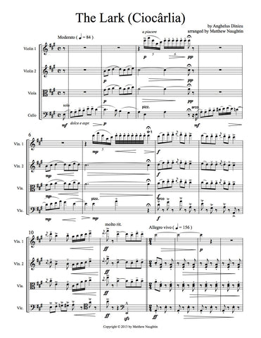 "The Lark" ("Ciocârlia") (Angheluş Dinicu)