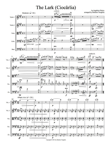 "The Lark" ("Ciocârlia") (Angheluş Dinicu)