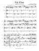 Für Elise (L. v. Beethoven)