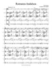 "Romanza Andaluza" (Pablo Sarasate)