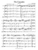 "Cascades" Rag (Scott Joplin)