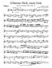 Erbarme dich, mein Gott (J. S. Bach)