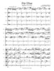 Für Elise (L. v. Beethoven)